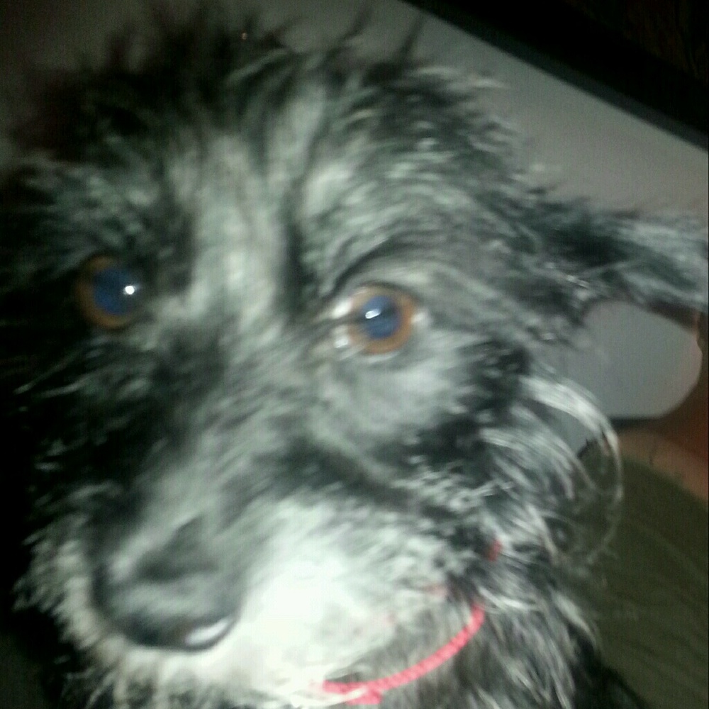 Meet your Posher, Julieann